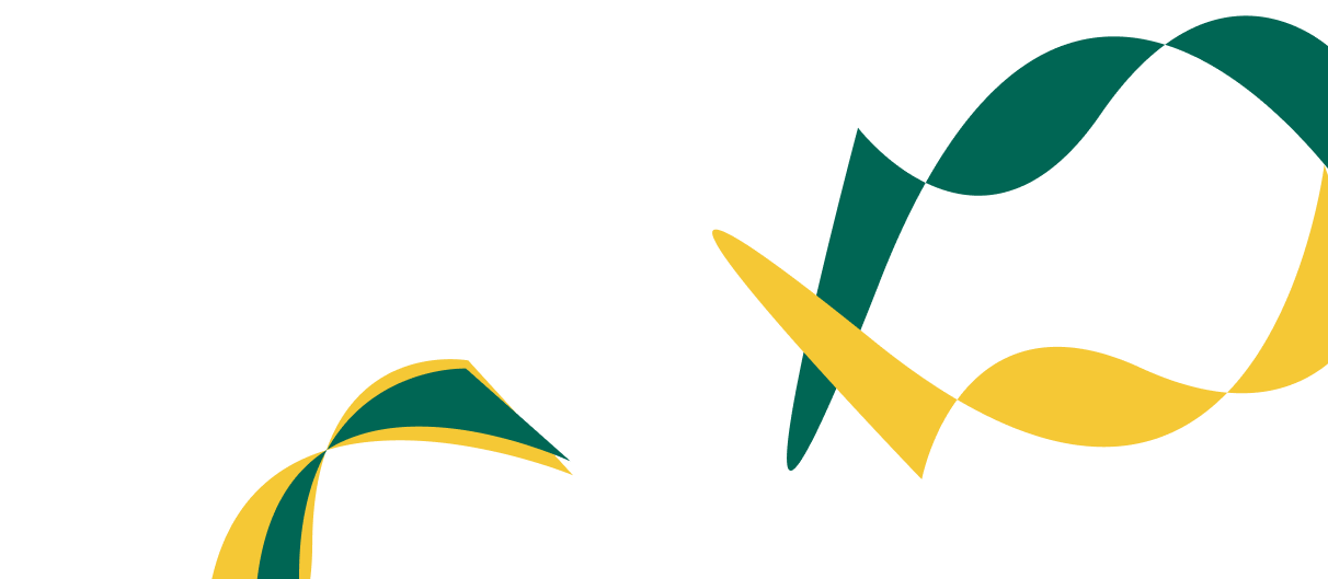 Expert Solutions for Corporate  Financial Success. - 开云体育直播APP